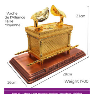 Arche de l’Alliance – Taille Moyenne